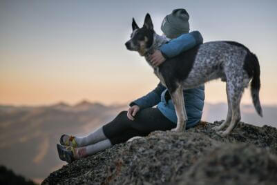 When Does a Pet Owner Violate the Law?